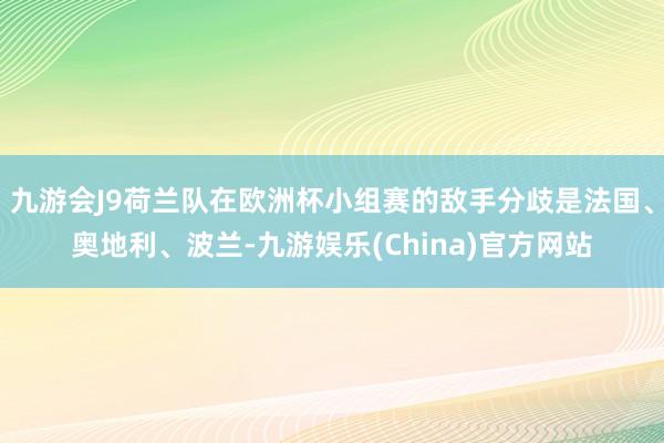 九游会J9荷兰队在欧洲杯小组赛的敌手分歧是法国、奥地利、波兰-九游娱乐(China)官方网站