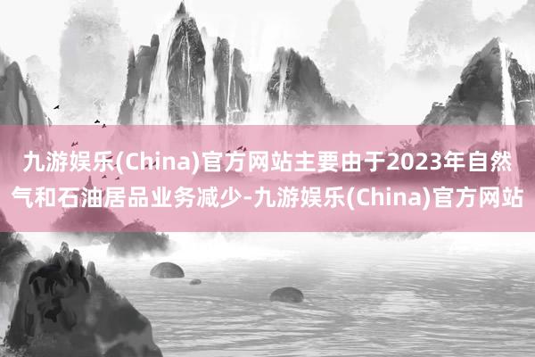 九游娱乐(China)官方网站主要由于2023年自然气和石油居品业务减少-九游娱乐(China)官方网站