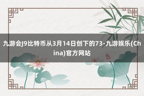 九游会J9比特币从3月14日创下的73-九游娱乐(China)官方网站