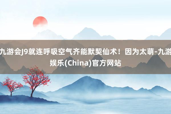 九游会J9就连呼吸空气齐能默契仙术！因为太萌-九游娱乐(China)官方网站